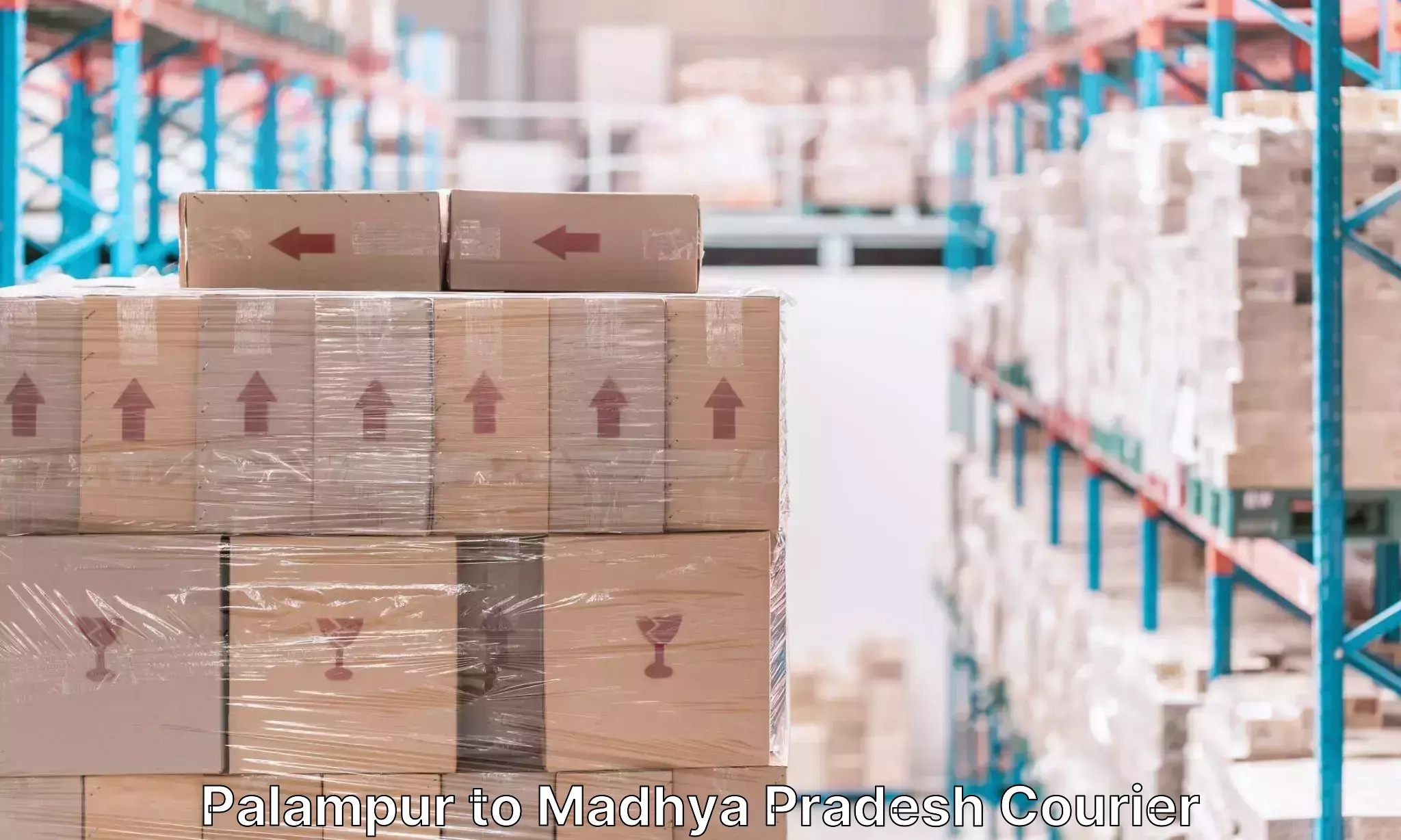 Baggage shipping experts Palampur to Mandideep