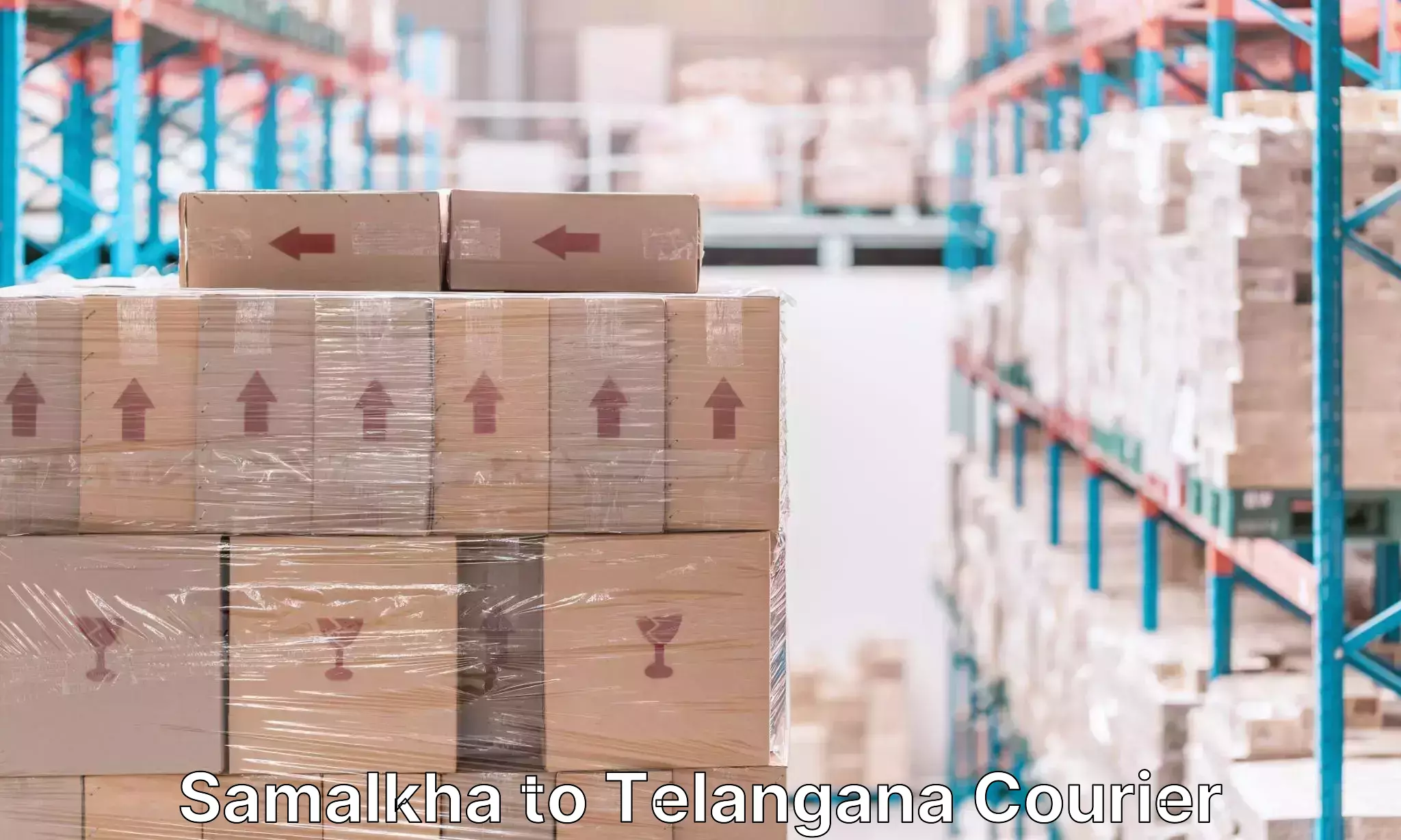 Luggage shipment processing Samalkha to Bhadrachalam