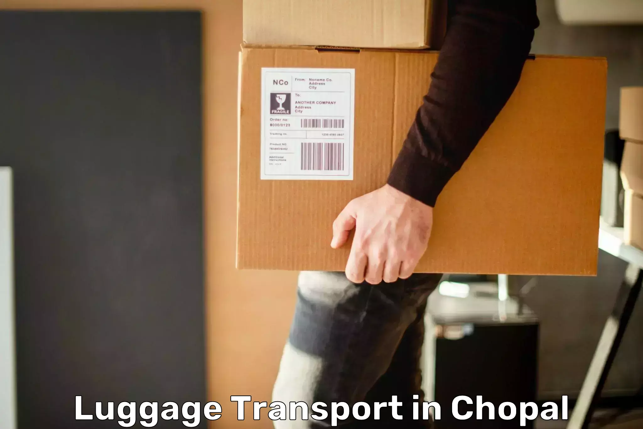 Baggage handling services in Chopal