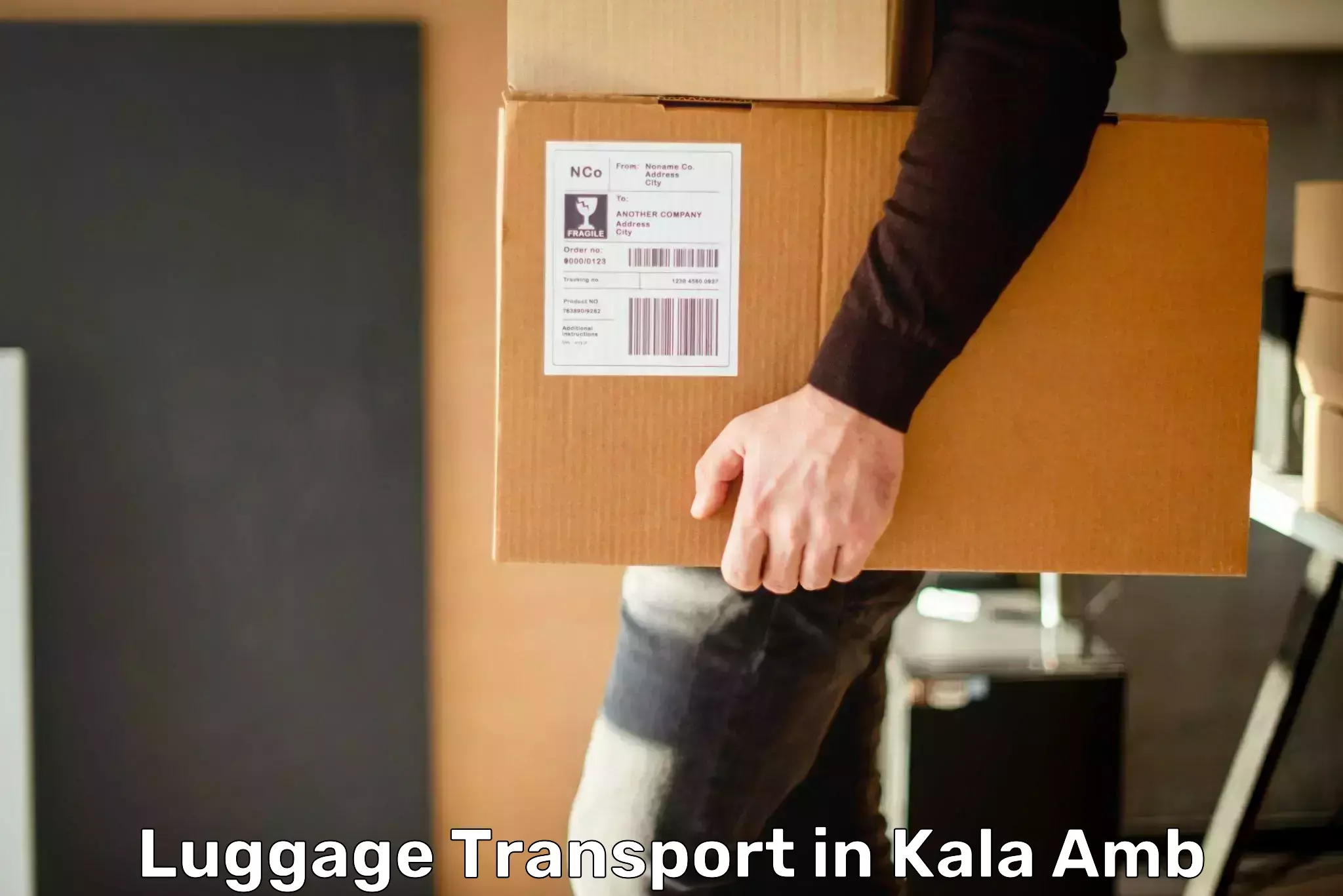 Luggage delivery logistics in Kala Amb