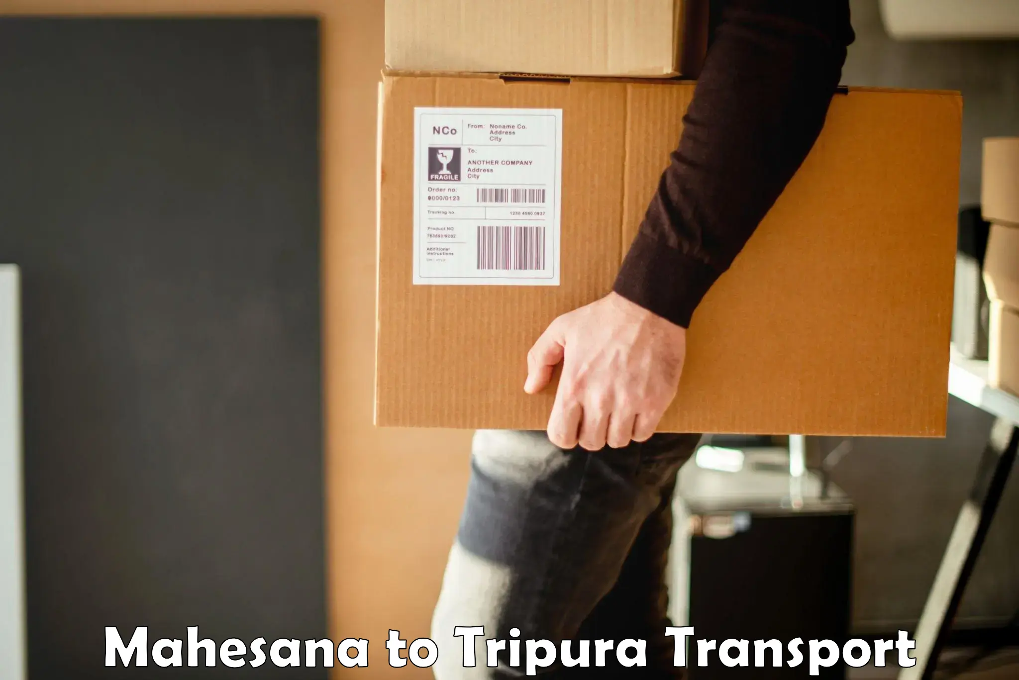 Two wheeler parcel service Mahesana to Agartala