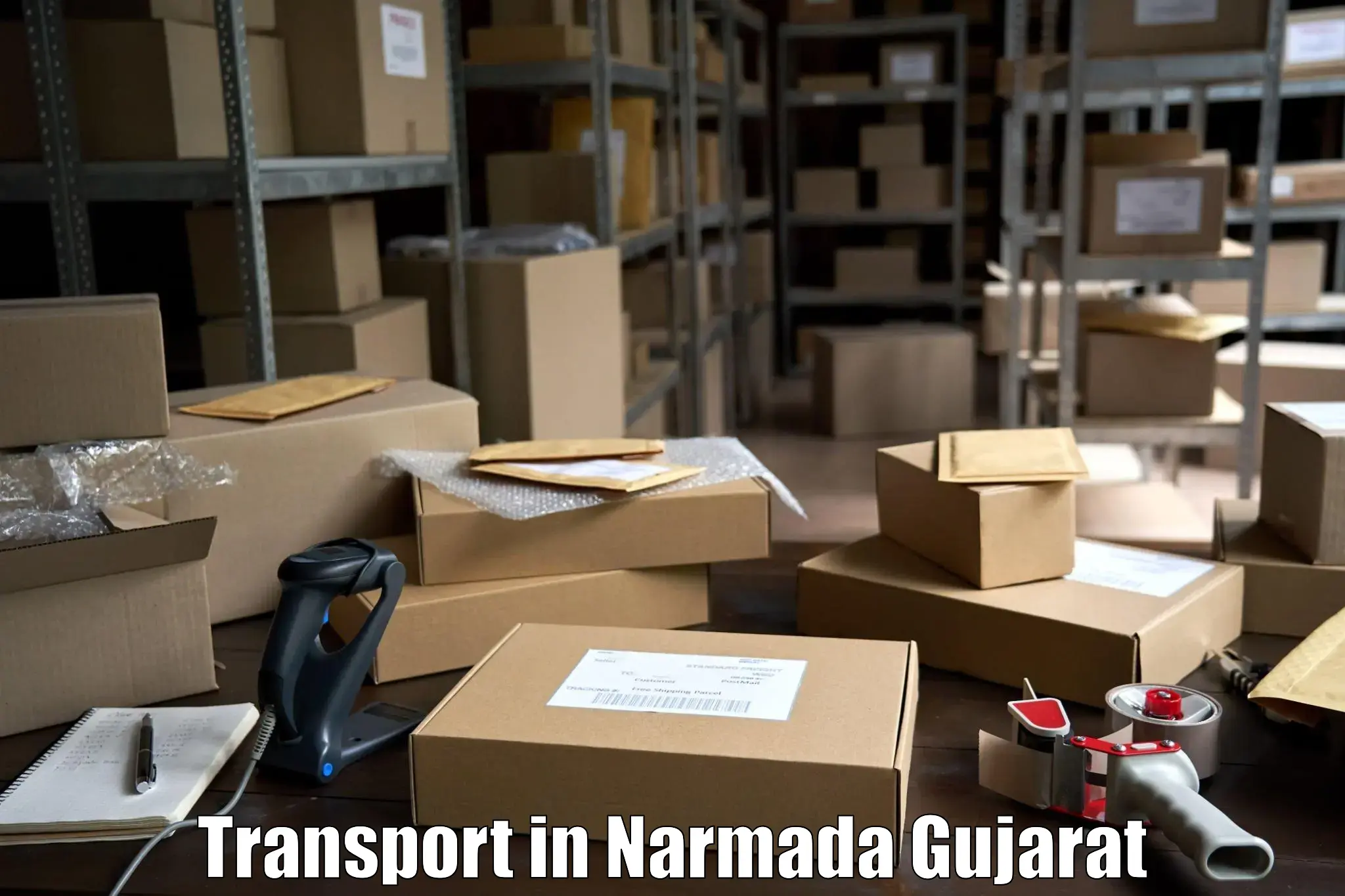 Domestic transport services in Narmada Gujarat