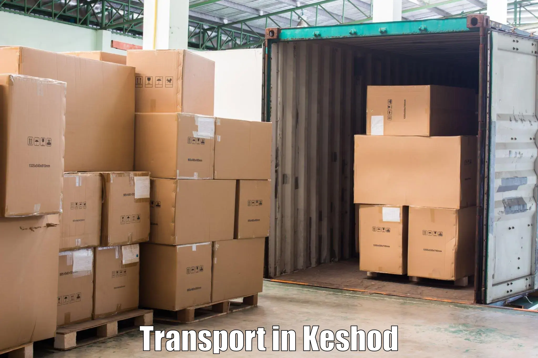 Intercity goods transport in Keshod